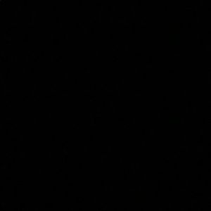 Meet your Posher, Mickey